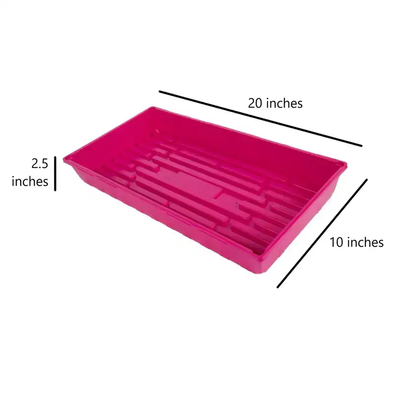 SUNPACK 10 x 20 Mega Plastic Seed Starting Tray, 2.5