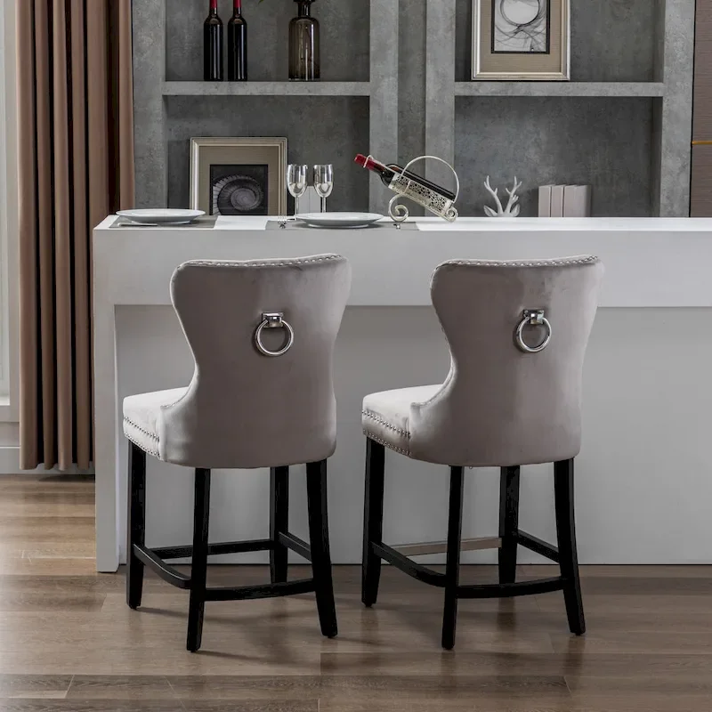 Carter 24  Wingback Tufted Nailhead Counter Stool (Set of 2)