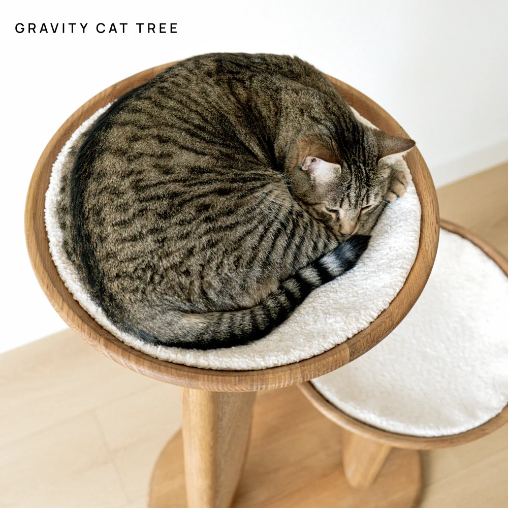 Cushion (For Bao & Gravity)