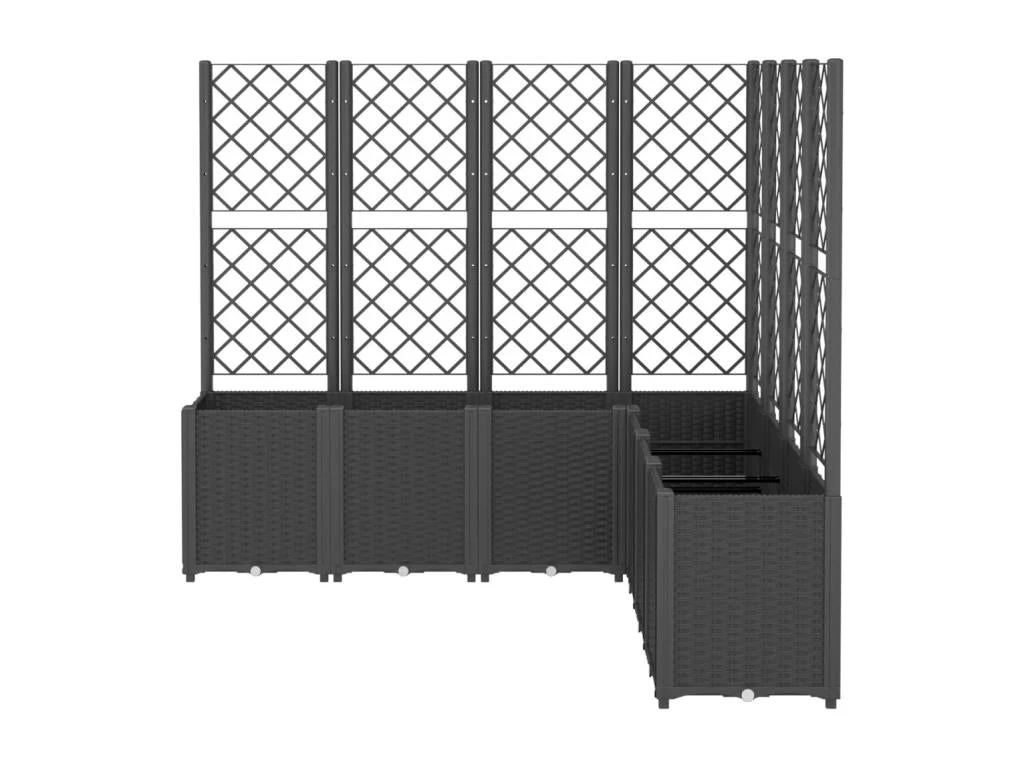 Home Product - Noir #29