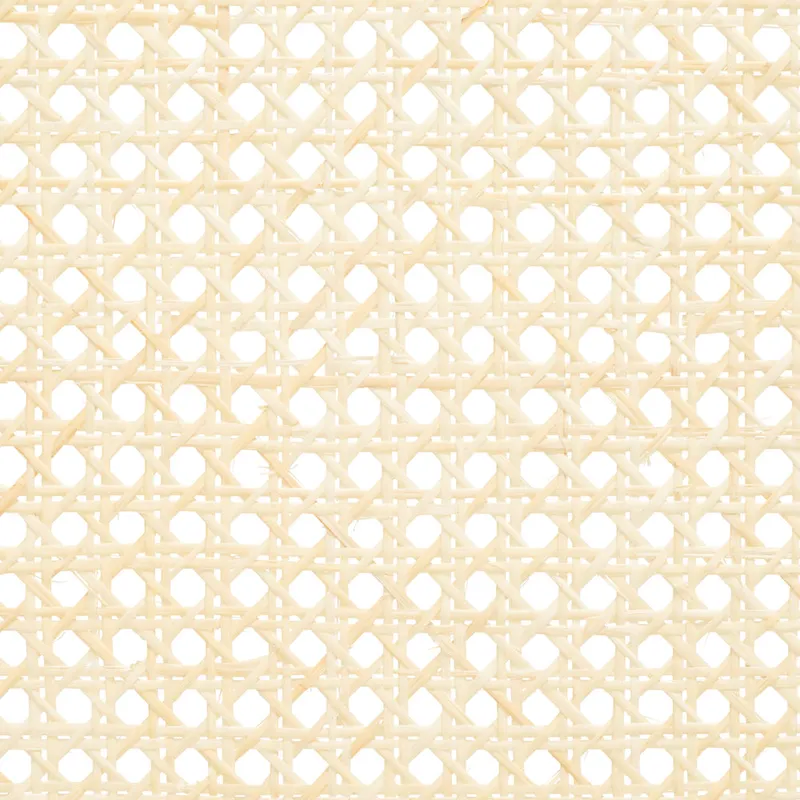 SAFAVIEH Couture Maiju Rattan Arm Chair - 21 In. W x 23 In. D x 34 In. H - 21Wx23Dx34H