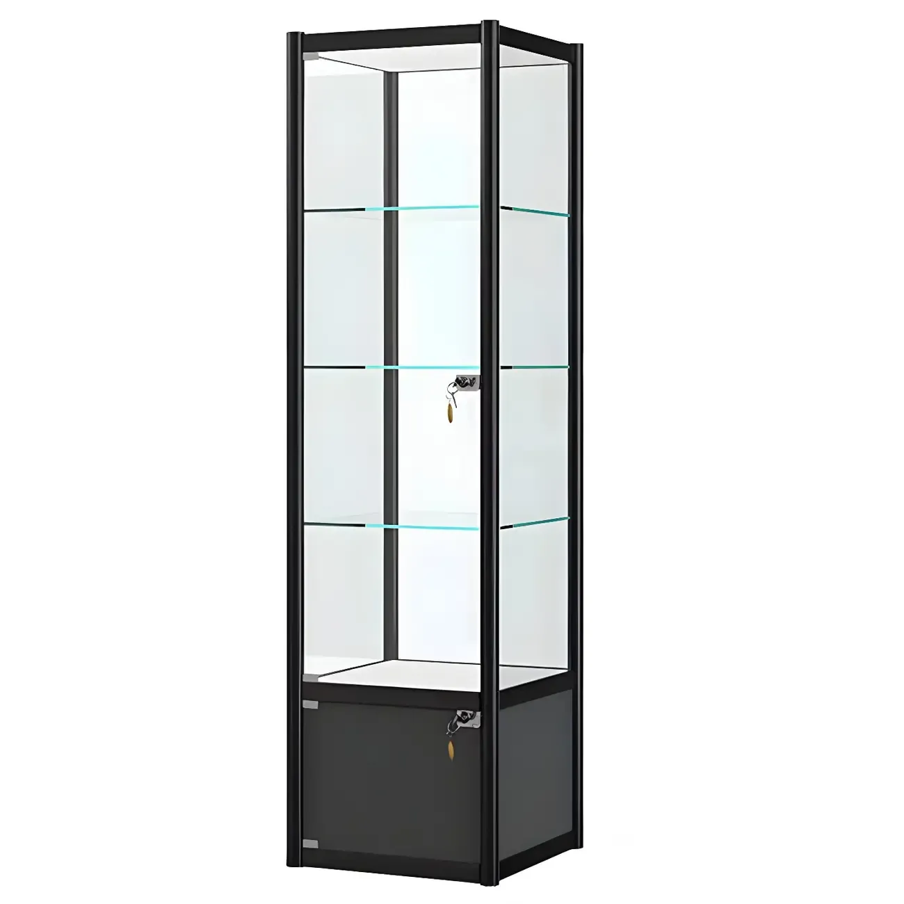 Rectangular Black Clear Glass Metal Frame Curio Cabinet