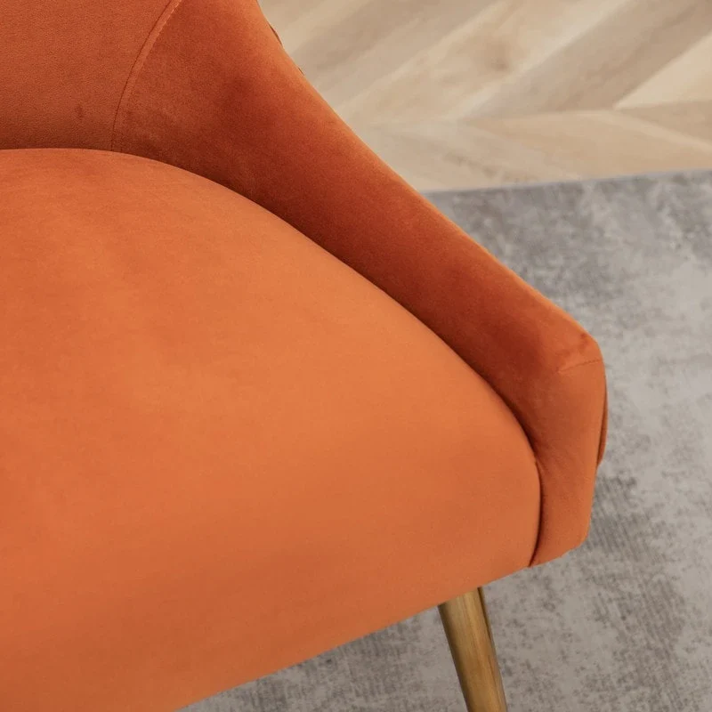 Mid Century Velvet Accent Dining Chair Set of 2 with Rear Handle