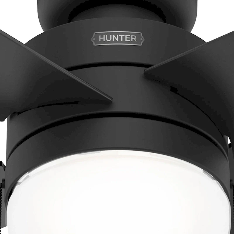 Hunter 52  Timpani Ceiling Fan w/ LED Light, Pull Chain