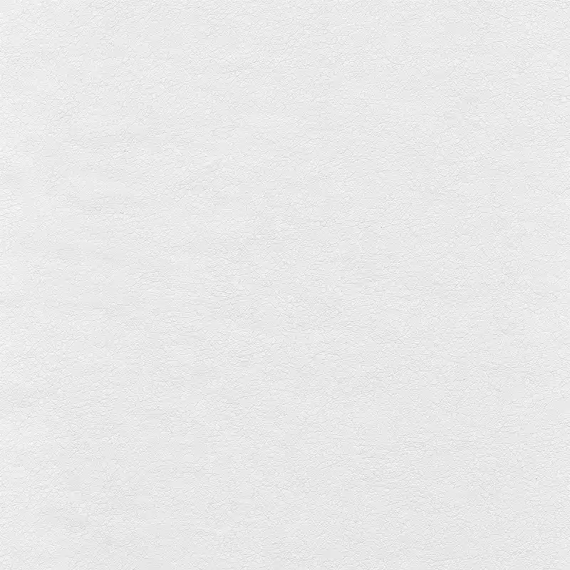 Cabot Mid Back Leather Office Chair by Bush Furniture