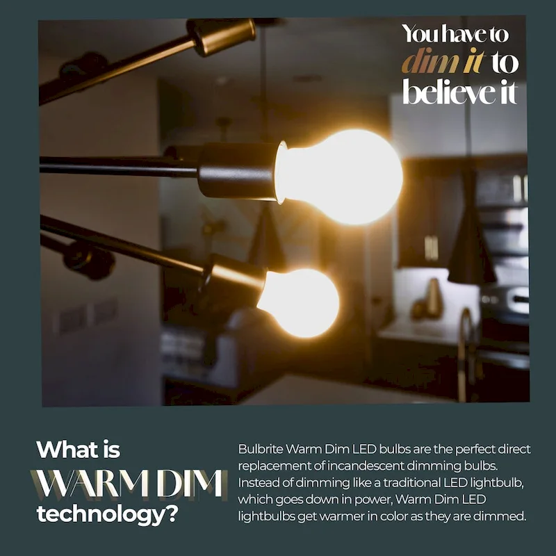 Bulbrite 9 Watt LED ST18 Light Bulbs, Warm Dimming 3000K (Soft White) - 1800K (Candlelight), 800 Lumens, (2 Pack) - Pack of 2