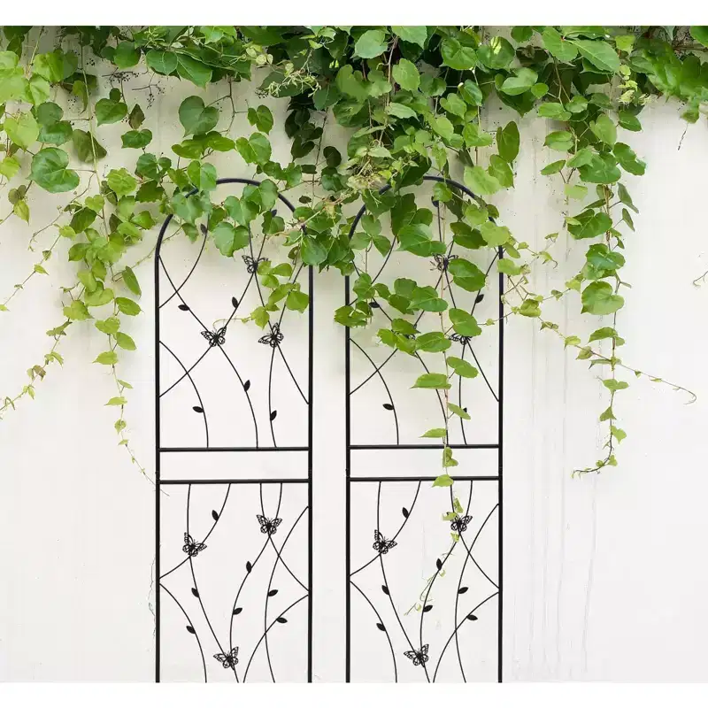 MAYEERTY 2-Pack 71x19.7in Metal Garden Trellis - Rustproof, Butterfly Decoration Black, for Outdoor Climbing Plants