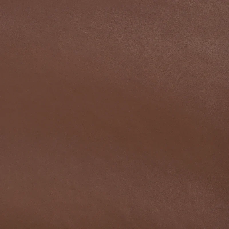 SAFAVIEH Bernardine Leather Dining Chair (Set of 2) - 21.7 W x 19.7 L x 31.9 H - 22Wx20Dx32H