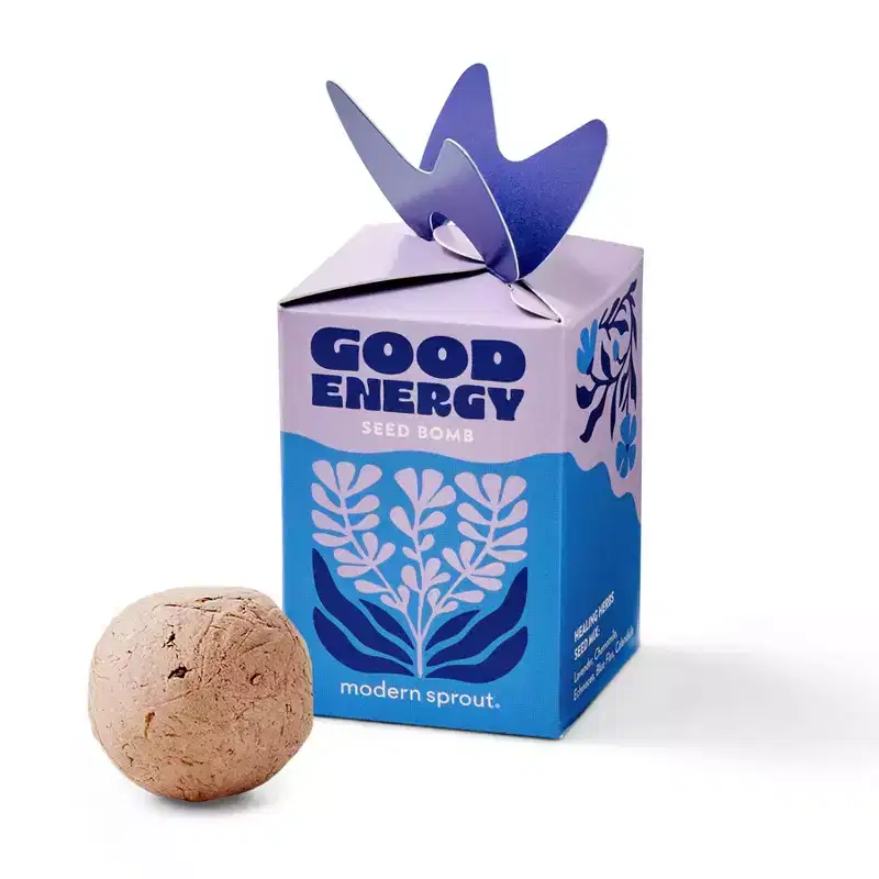 Modern Sprout Mixed Arrangements Good Energy Seed Bomb