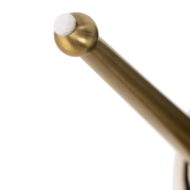 Tufted Velvet Upholstered Accent Dining Chairs Side Chairs (Set of 2)