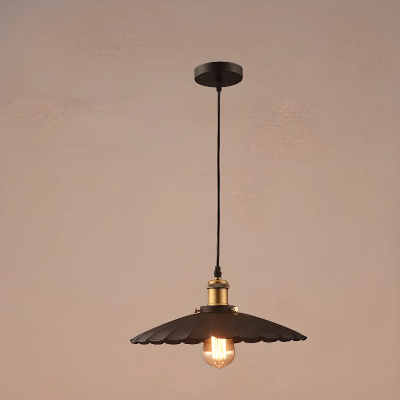 Industrial Adjustable Black Round Pendant light