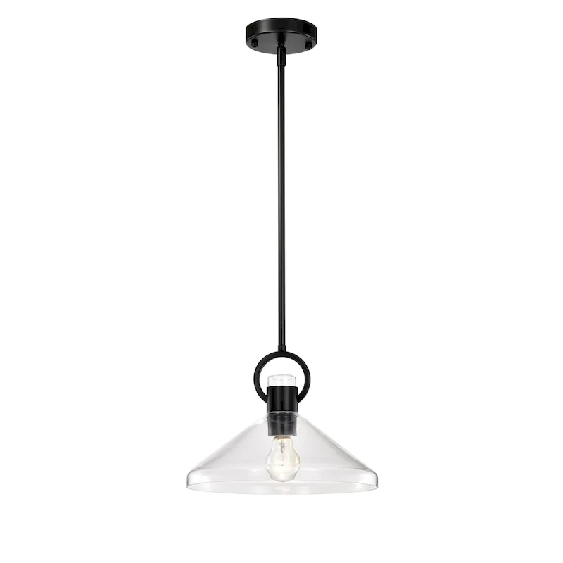 Andros Glass Cone Shade 1-Light Downrod Pendant Light
