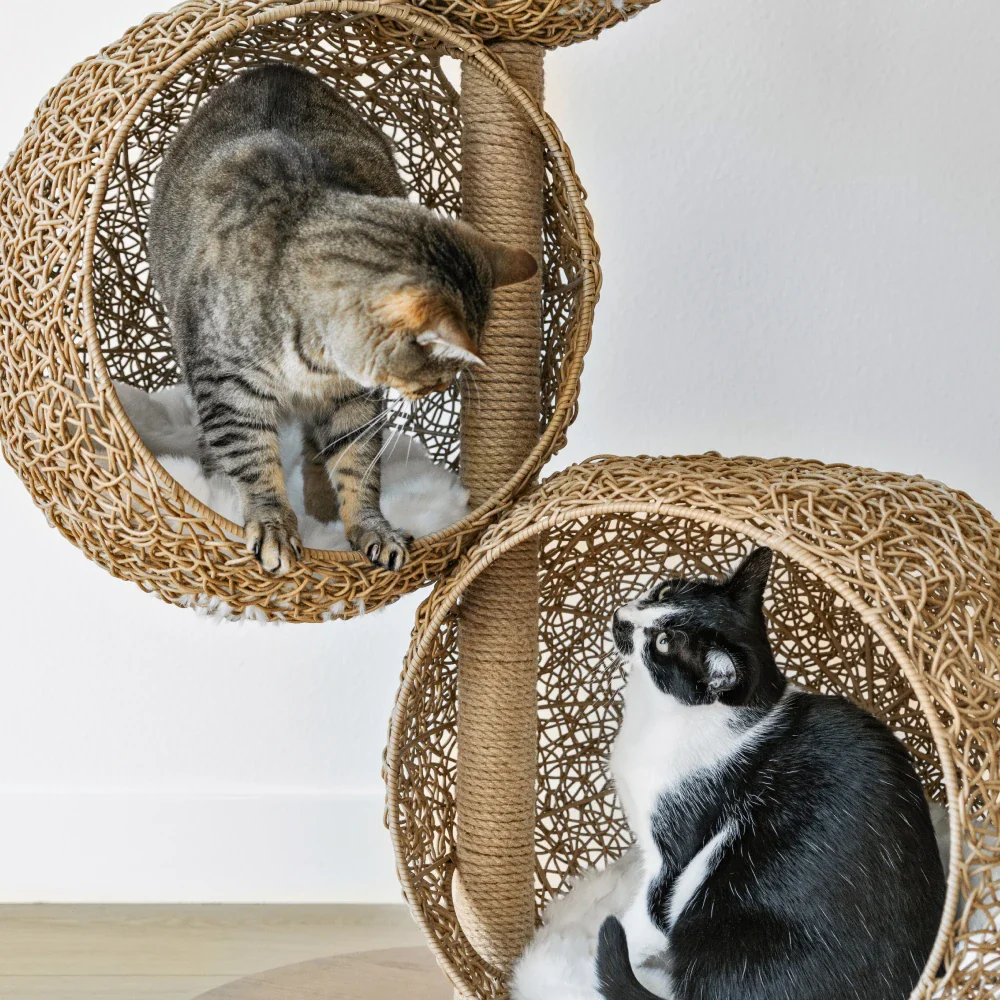Lua Scratching Post