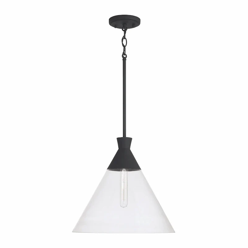 Paloma 1-light Hanging Pendant w/ Clear Glass