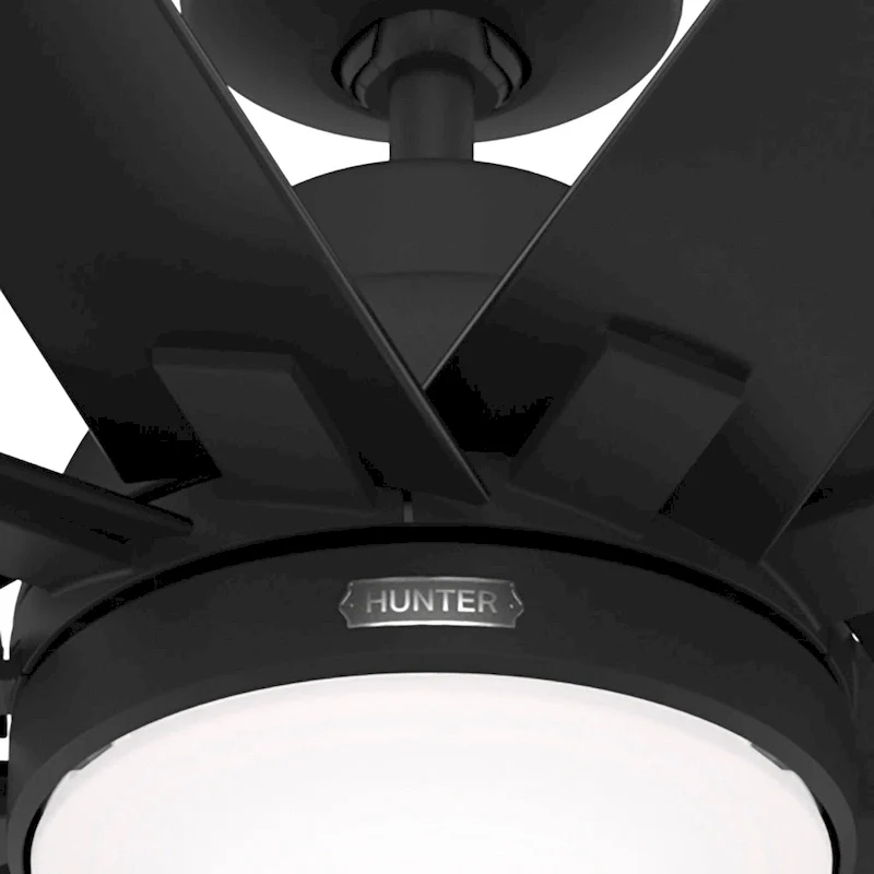 Hunter 60  Overton Damp Rated Ceiling Fan with LED Light Kit and Wall Control - Windmill, Transitional, Modern - ENERGY STAR