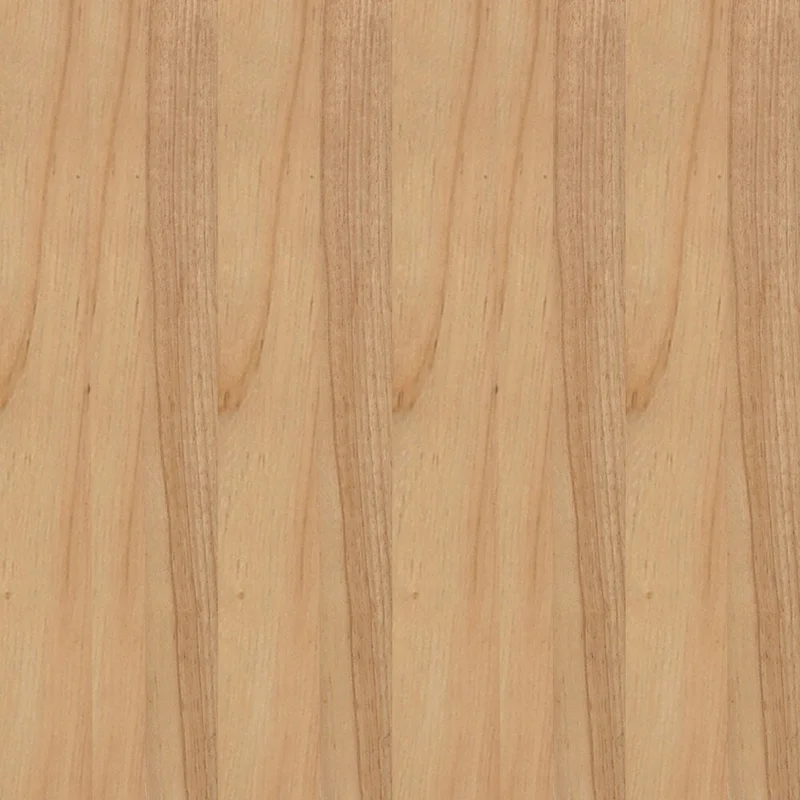 Cane Rattan Woven Back Dining Chair with Upholstered Seat