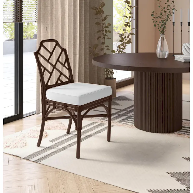 White / Brown / Natural Rattan Dining Side Chair, Set of 2