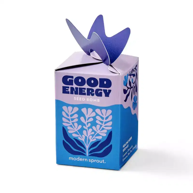 Modern Sprout Mixed Arrangements Good Energy Seed Bomb