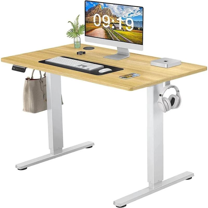 Height Adjustable Electric Standing Ergonomic Computer Desk