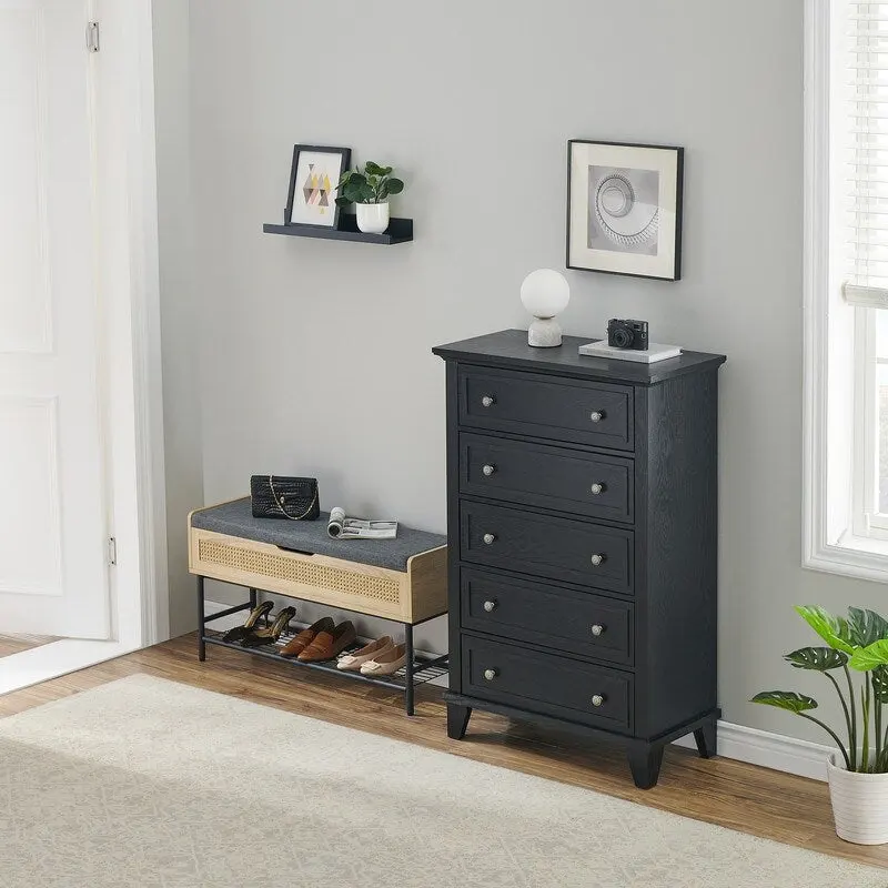Black Retro Freestanding 5-Drawer Dresser, 1-Person