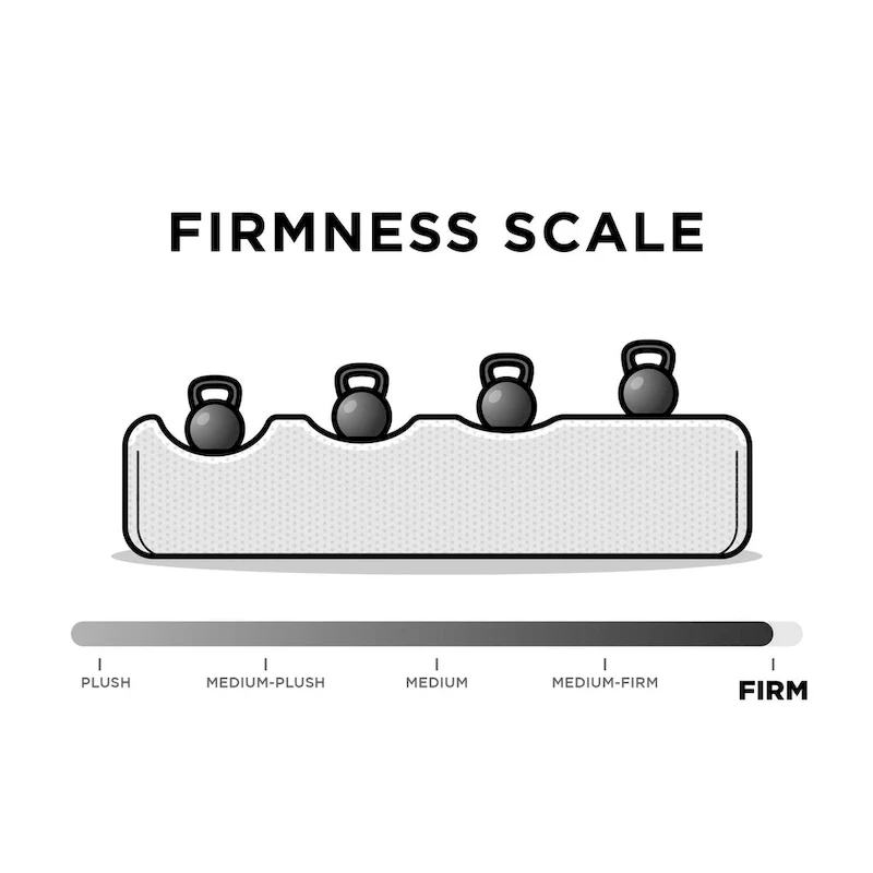 Avenue Greene Jayson Coil Futon