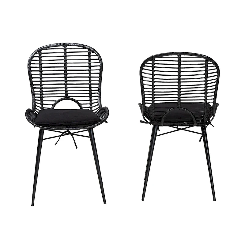 Brenna Modern Bohemian Rattan and Metal 2-Piece Dining Chair Set