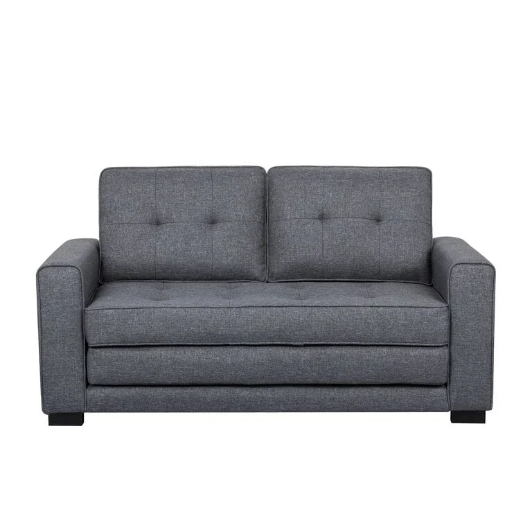 Modern Fabric Loveseat and Sofa Bed