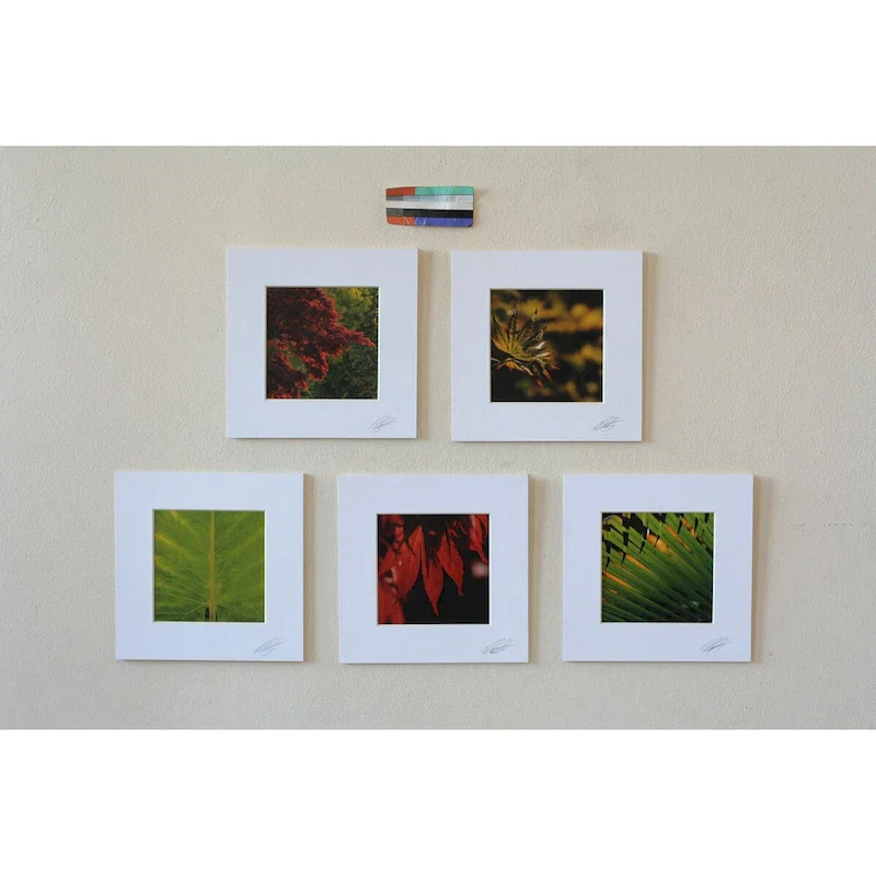 Novica Handmade Patterns of Life (set of 5) - 16 x 16