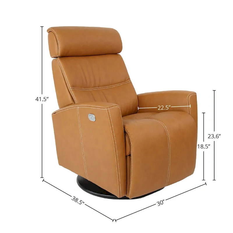 Leather Swing Recliner