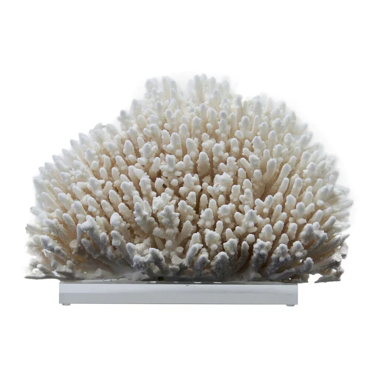 Table Coral 15 - 16 Inch On Acrylic Base