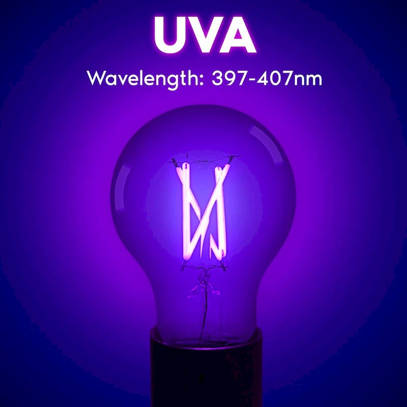 Luxrite A19 Edison UV LED Black Light Bulb, 6W Filament Blacklight Bulb, UVA 397-407nm, Enclosed Fixture Rated, E26...