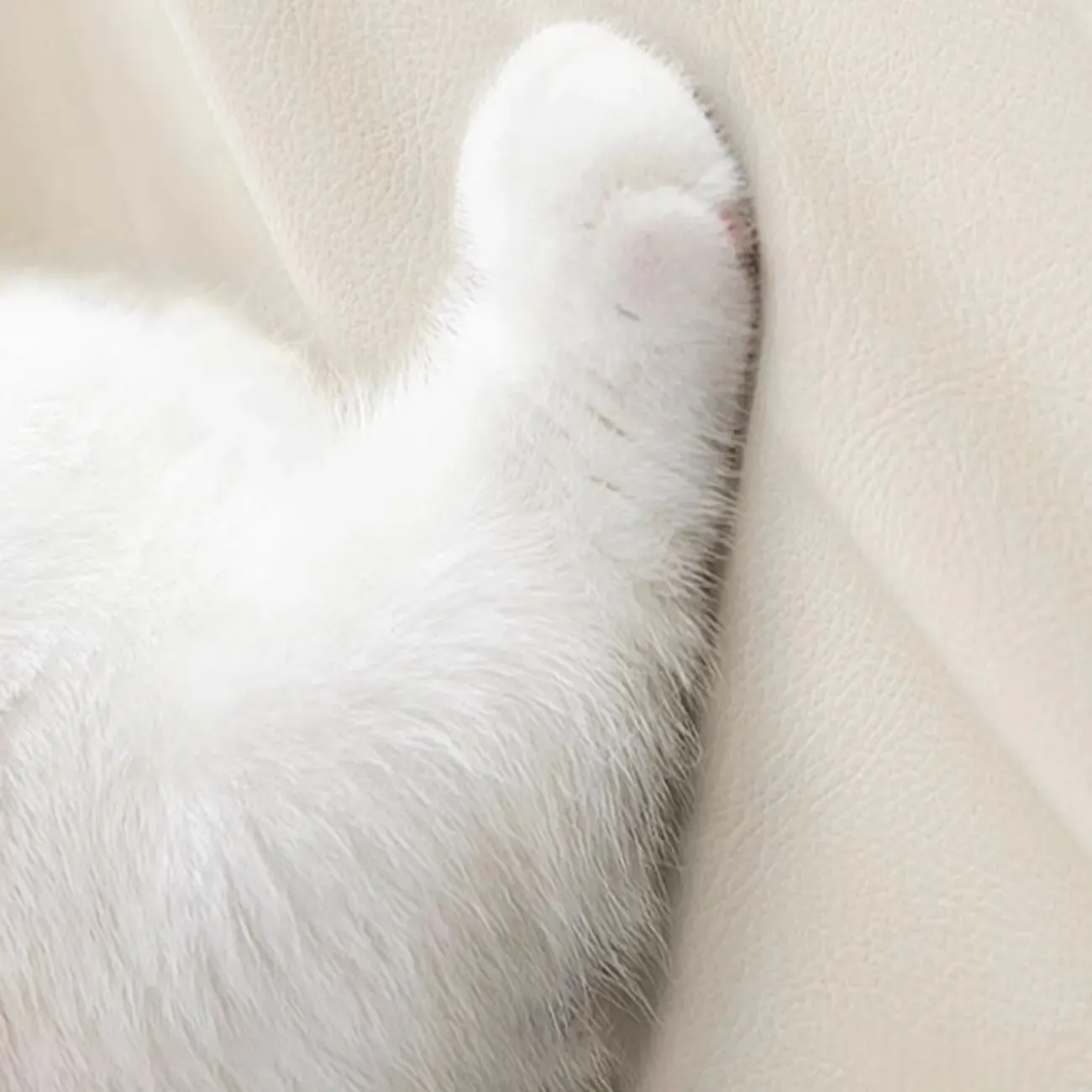 Modern Narrow Wooden Nightstand with 3 Drawers