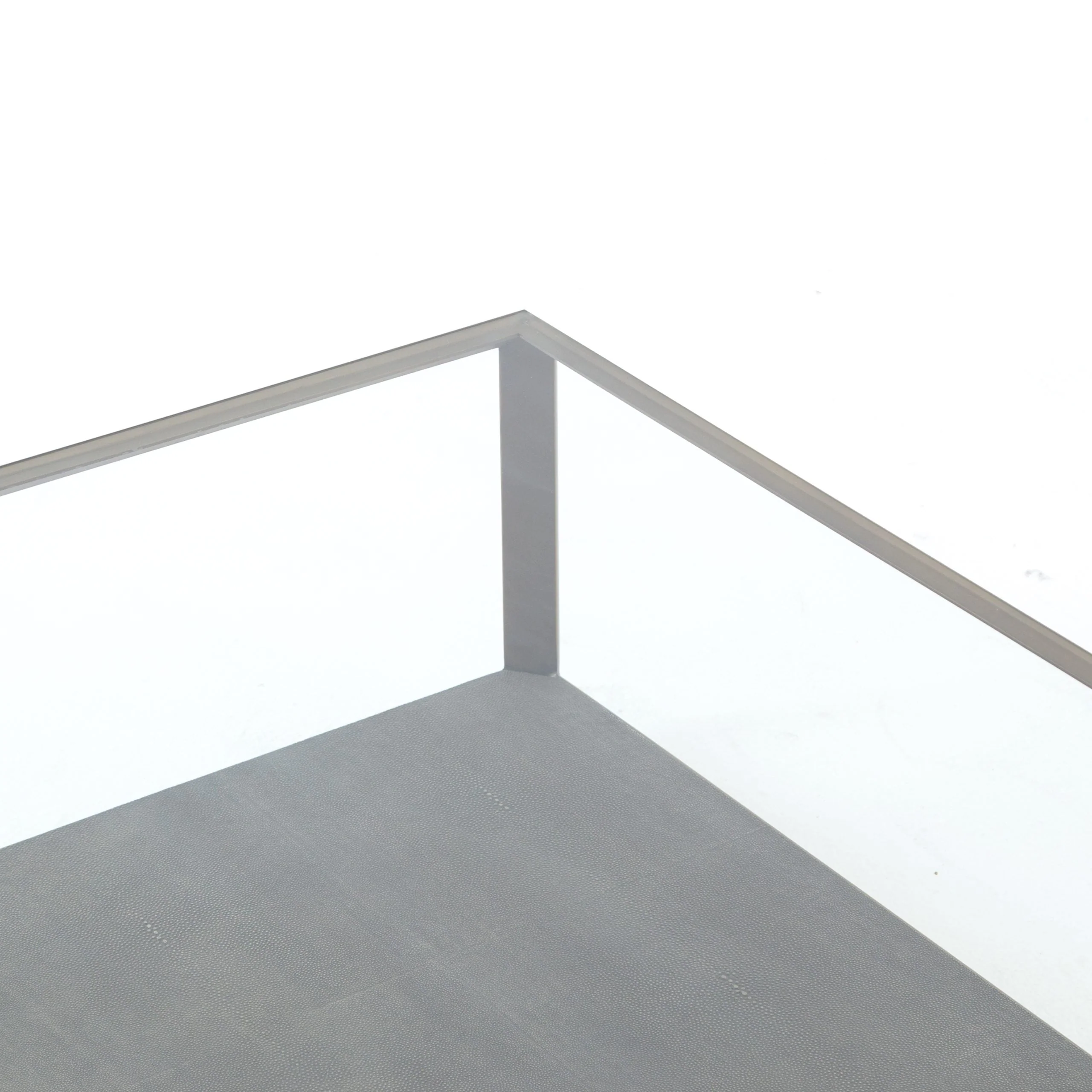 Shagreen  Shadow Box Coffee Table