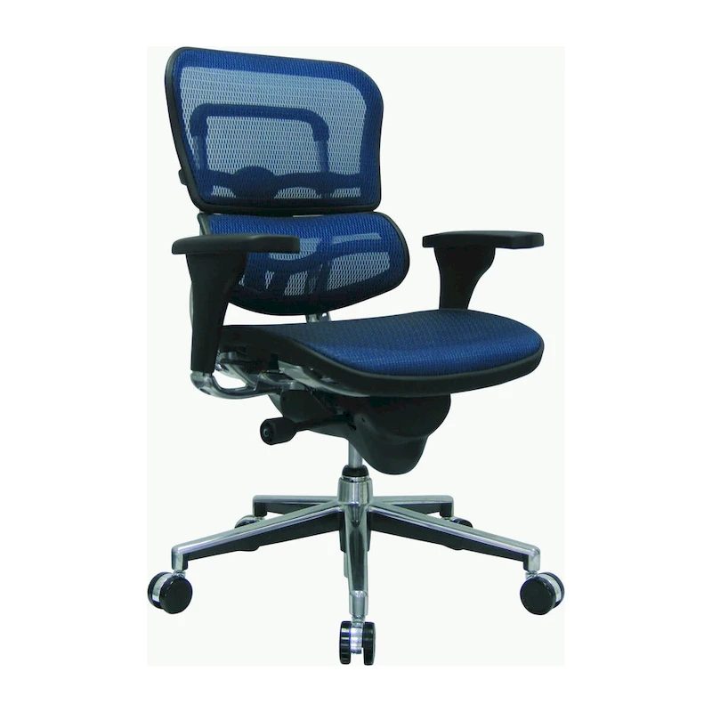 Eurotech Seating Ergohuman Mesh Managers Chair