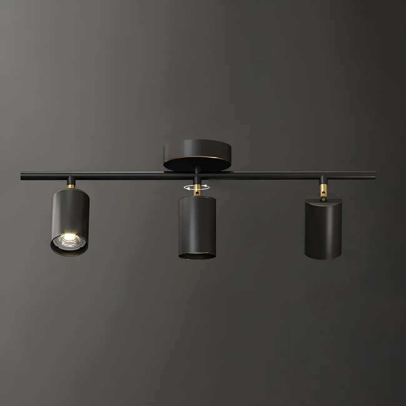 4 Light Gold Track Lighting with Adjustable Heads