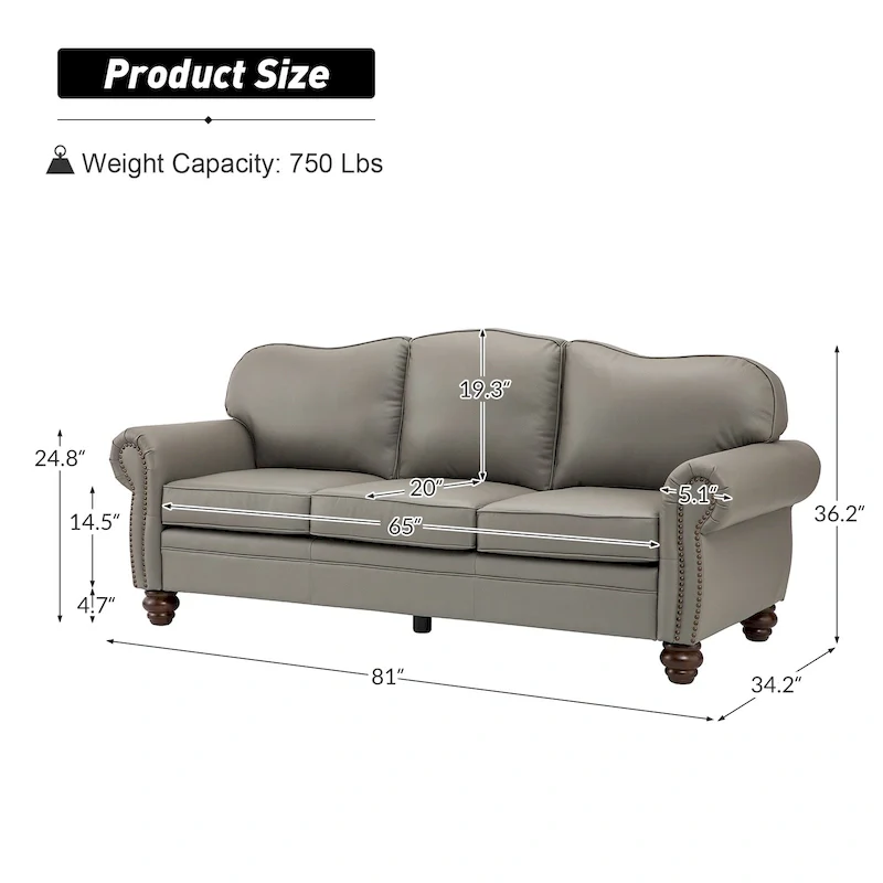 Balvino 81 Wide Transitional Genuine Leather Rolled Arm Sofa with Nailhead Trim and Removable Cushions