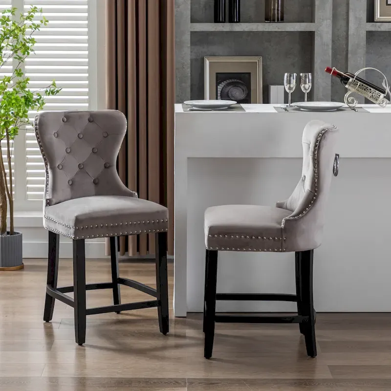 Carter 24  Wingback Tufted Nailhead Counter Stool (Set of 2)