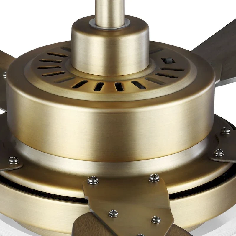 Tempt Collection 52  Five Blade Ceiling Fan - 9.500  x 25.120  x 12.870