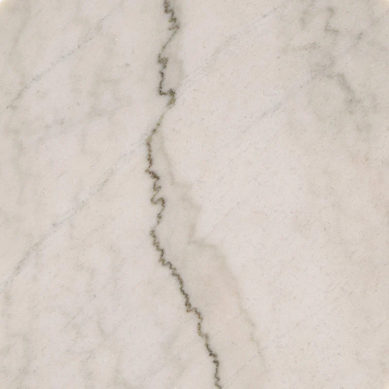 Egan Champagne Silver Finish Marble Top Table by iNSPIRE Q Modern