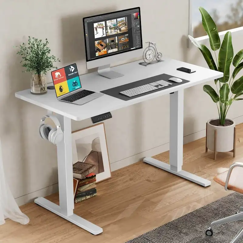 Electric Height Adjustable Standing Desk,Sit to Stand Ergonomic Computer Desk,Black,55 x 24