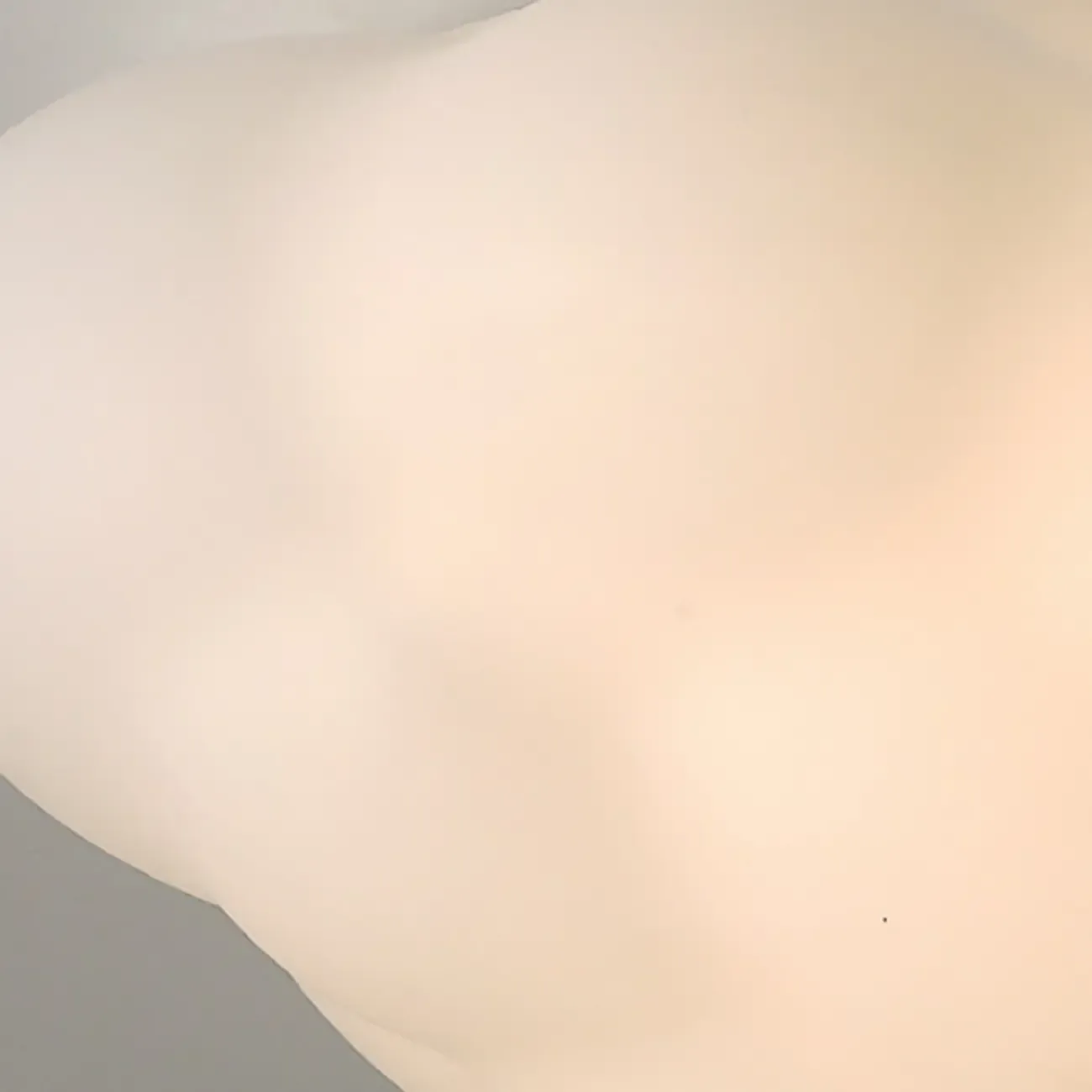 Modern Cloud Shape LED Flush Ceiling Light 3-Gear Dimming