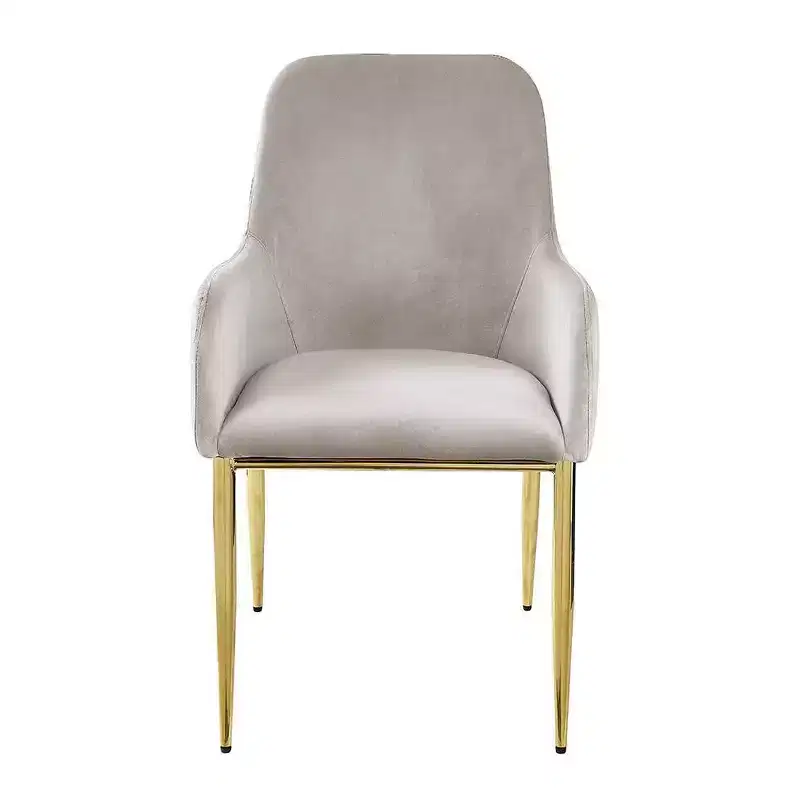 Set of 2 22" Barnard Side Chairs: Upholstered Wingback, Metal Frame - Acme Furniture