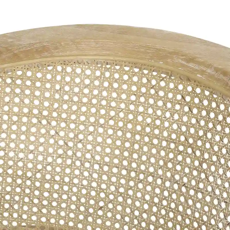 Steinaker Wood and Cane Accent Chair