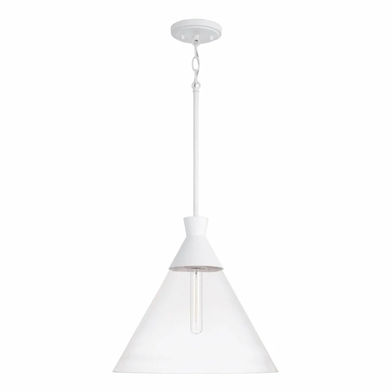Paloma 1-light Hanging Pendant w/ Clear Glass