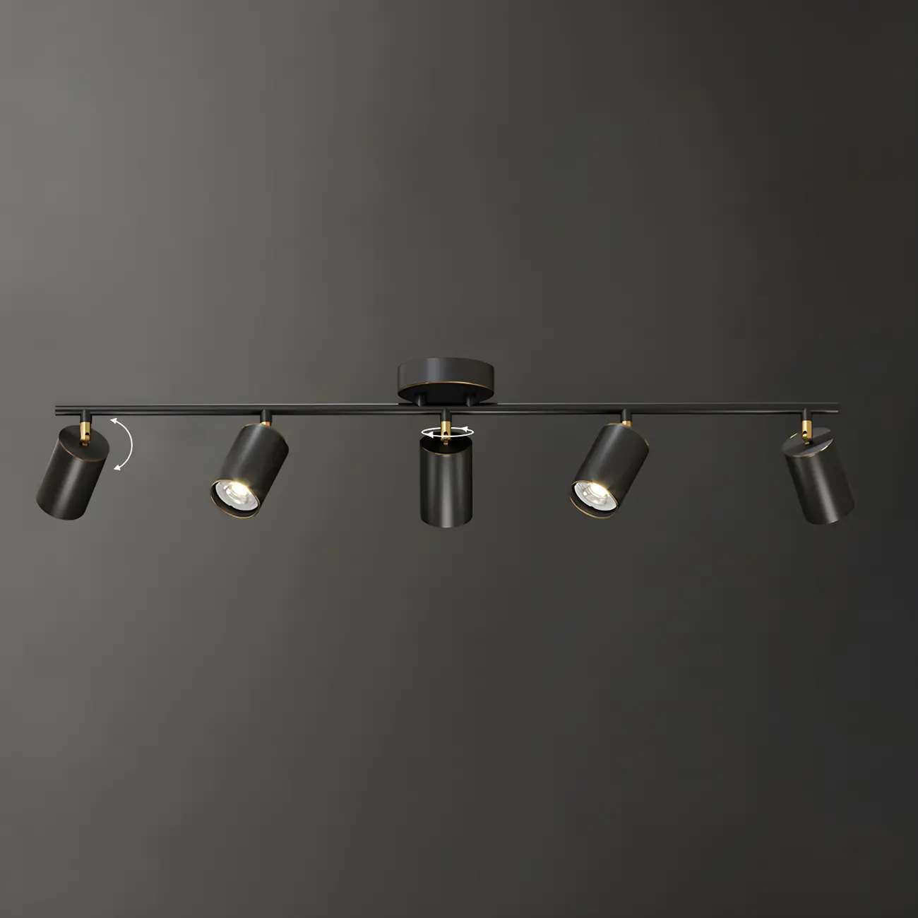 4 Light Gold Track Lighting with Adjustable Heads