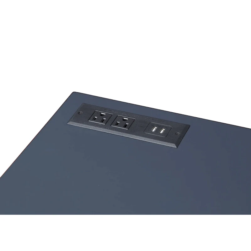 Bird Modern 42-inch Metal Computer Desk with USBs by