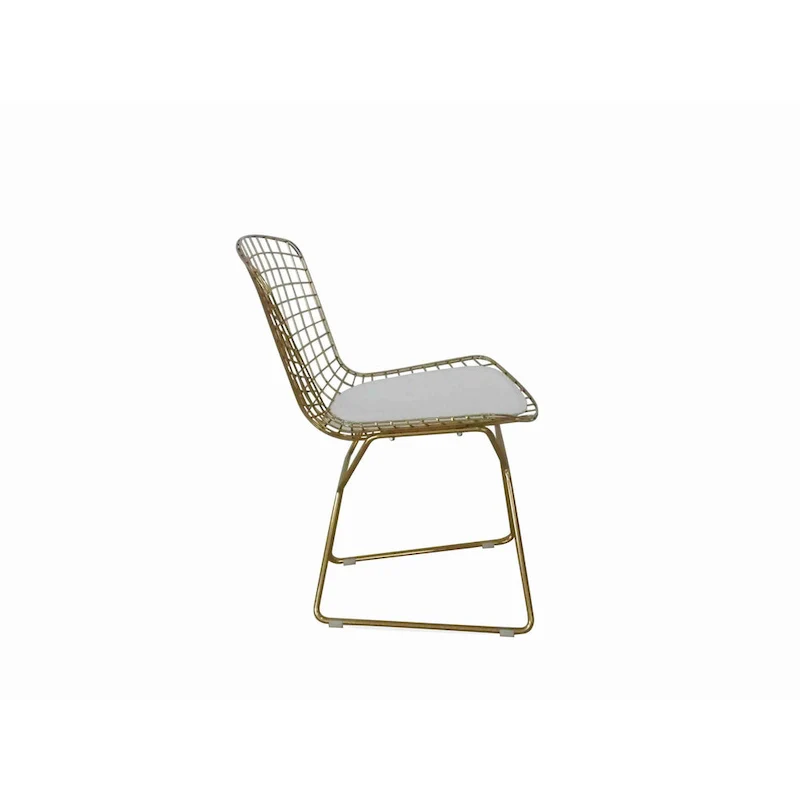 Hely 23 Inch Dining Chair Set of 2, 4 Cushions, Metal Cage Frame, Gold