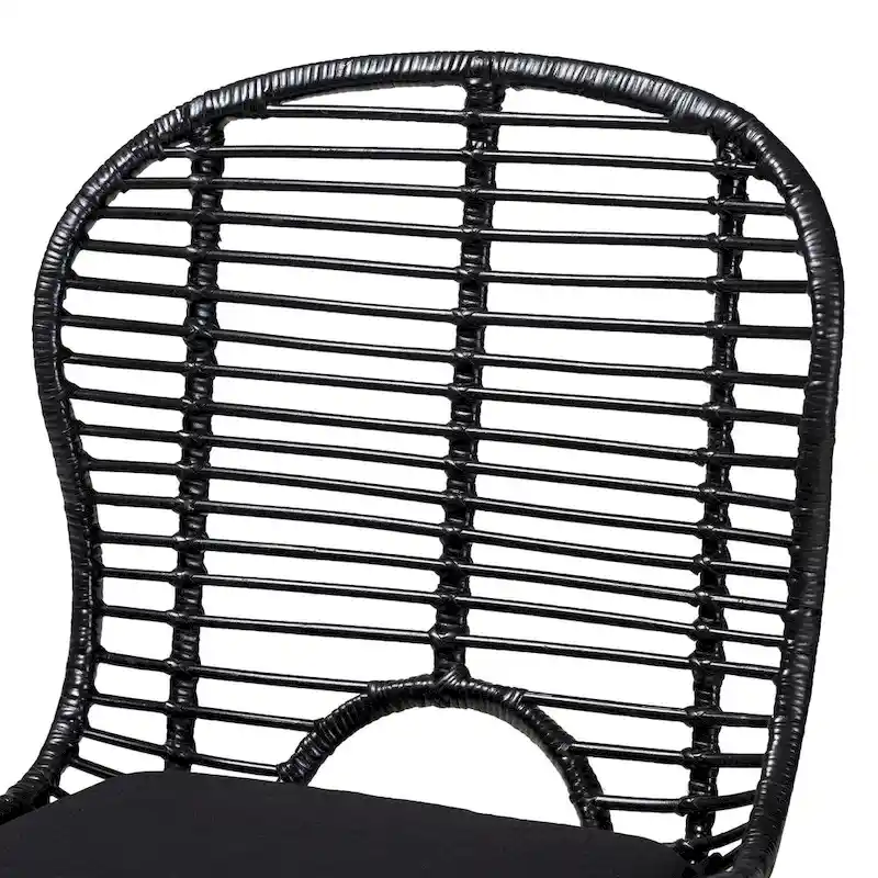 Brenna Modern Bohemian Rattan and Metal 2-Piece Dining Chair Set
