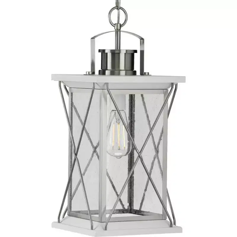 Progress Lighting Barlowe 1-Light Outdoor Hanging Lantern, Stainless Steel, Seeded Glass
