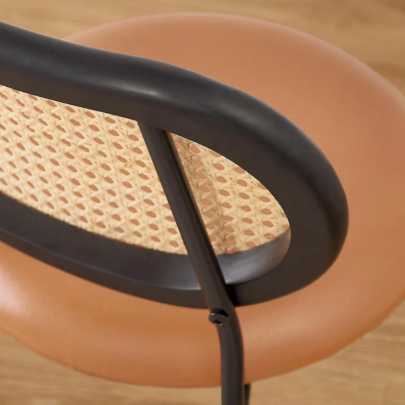 Art Leon Cane Back Faux Leather Upholstered Dining Chair (Set of 2)